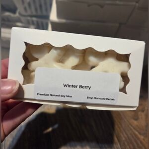 Winter Berry Premium Natural Soy Wax Melts